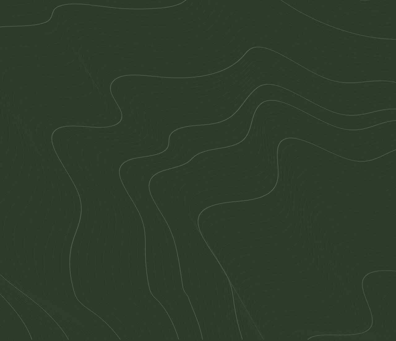 https://sosnowapolana.com.pl/wp-content/uploads/2020/02/green-background-1280x1100.jpg